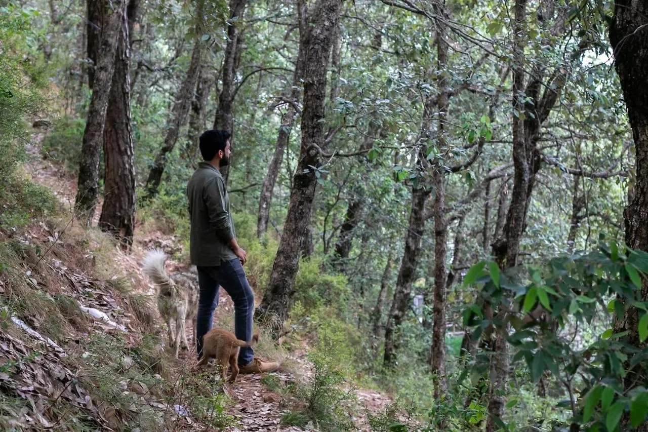 Stayvista At Woodrose Estate With Scenic Views Shimla 0*,