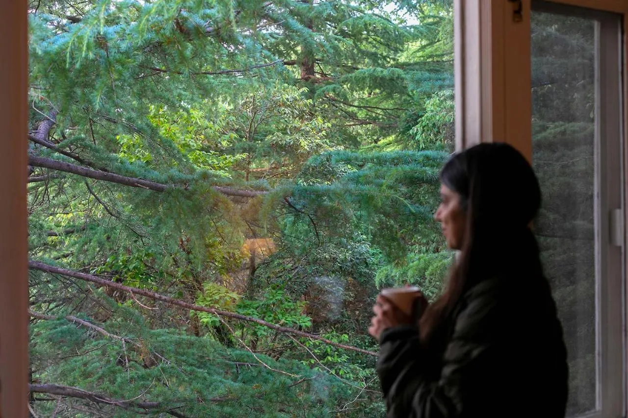 Villa Stayvista At Woodrose Estate With Scenic Views Shimla